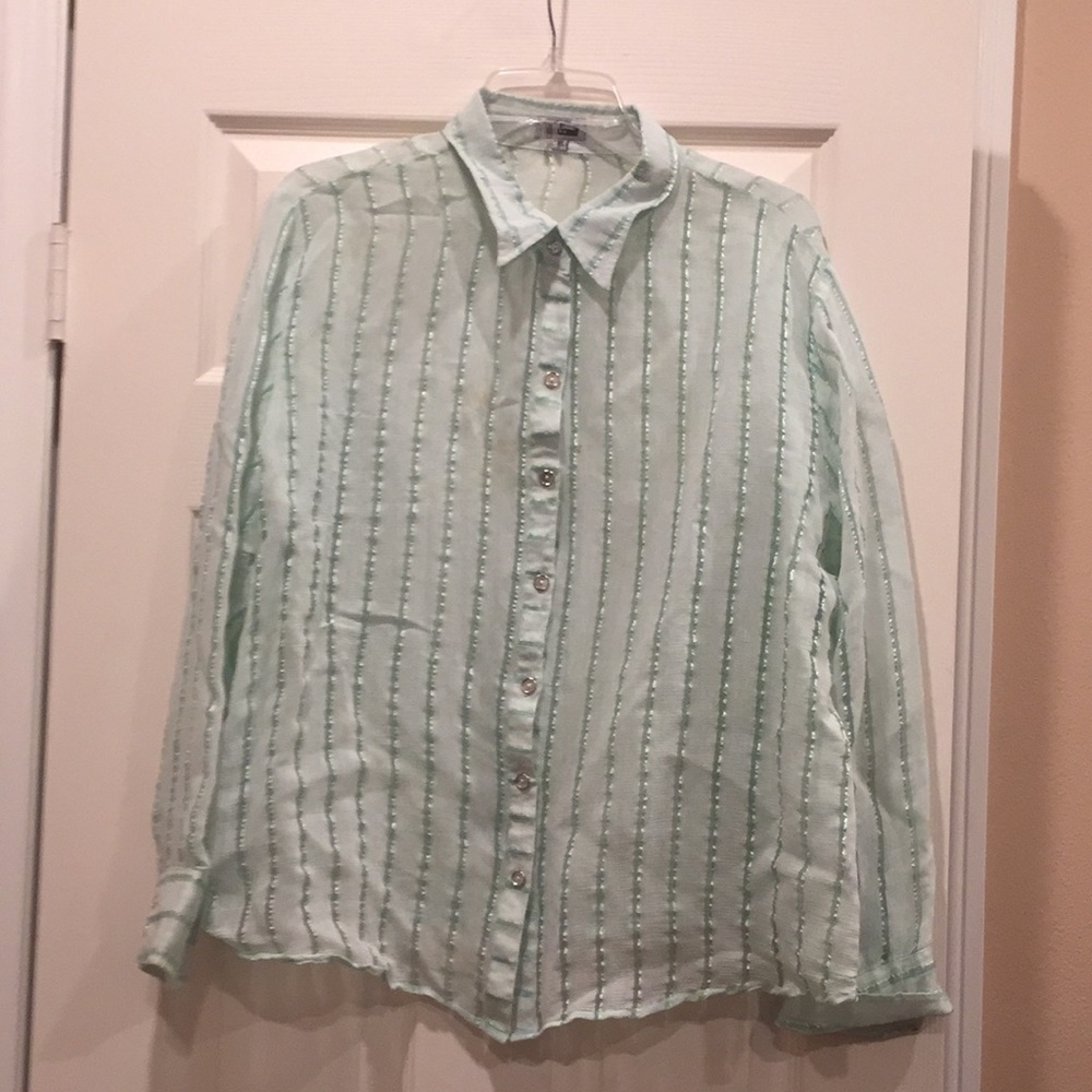 Sheer, button-down, long-sleeved blouse.